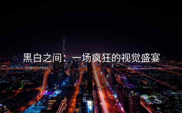 黑白之间：一场疯狂的视觉盛宴