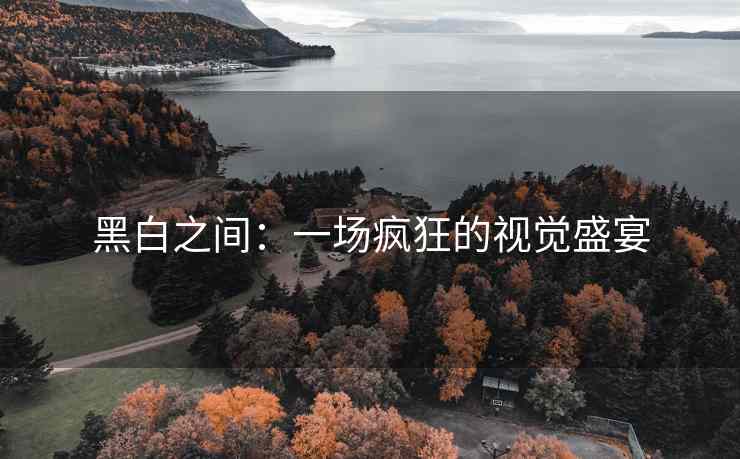 黑白之间：一场疯狂的视觉盛宴