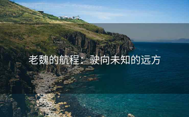 老魏的航程：驶向未知的远方