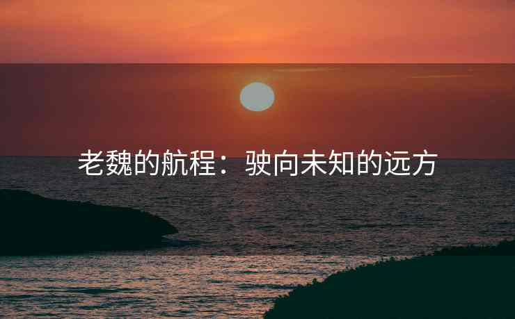 老魏的航程：驶向未知的远方