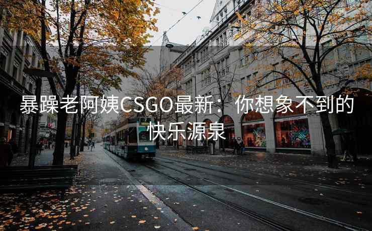 暴躁老阿姨CSGO最新：你想象不到的快乐源泉