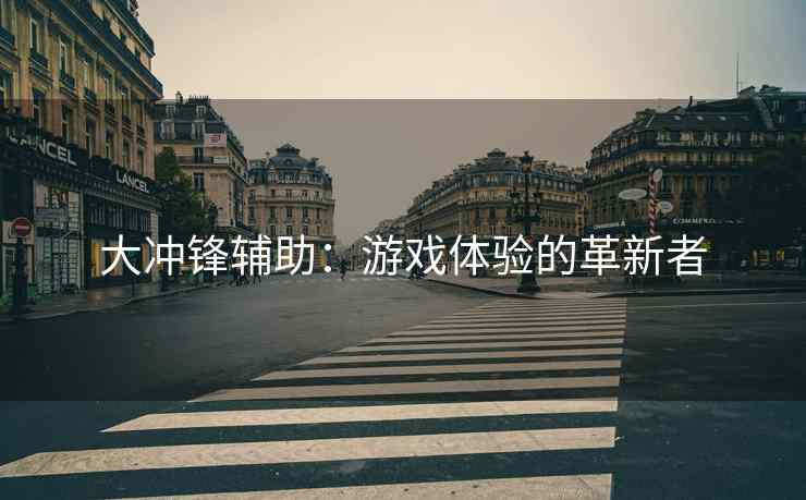 大冲锋辅助：游戏体验的革新者