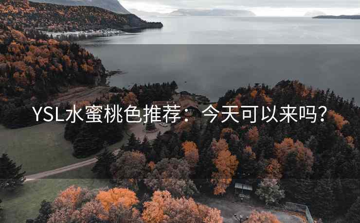 YSL水蜜桃色推荐：今天可以来吗？