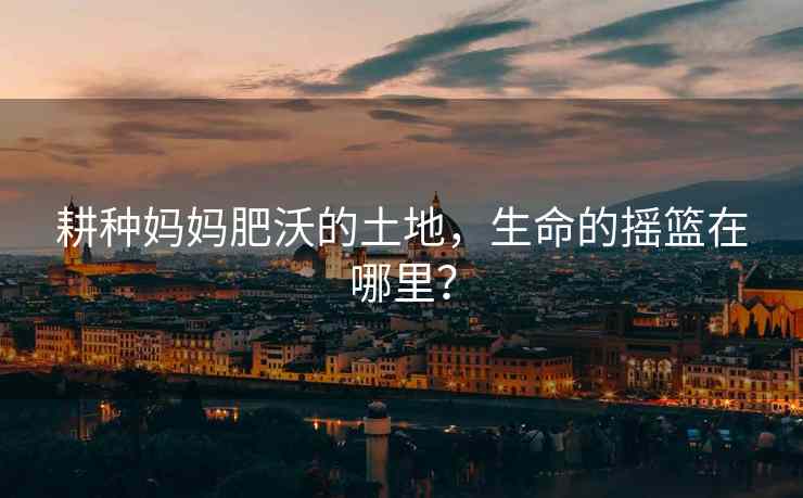 耕种妈妈肥沃的土地，生命的摇篮在哪里？
