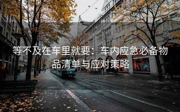 等不及在车里就要：车内应急必备物品清单与应对策略