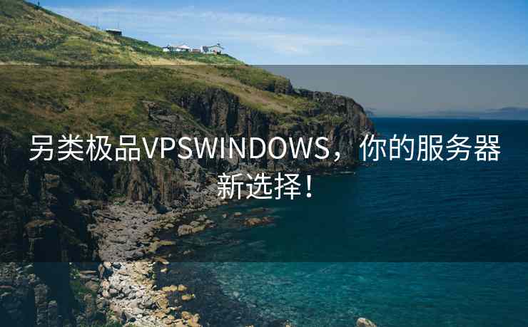 另类极品VPSWINDOWS，你的服务器新选择！