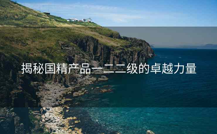 揭秘国精产品一二二级的卓越力量