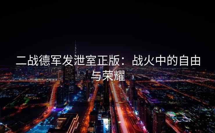 二战德军发泄室正版：战火中的自由与荣耀