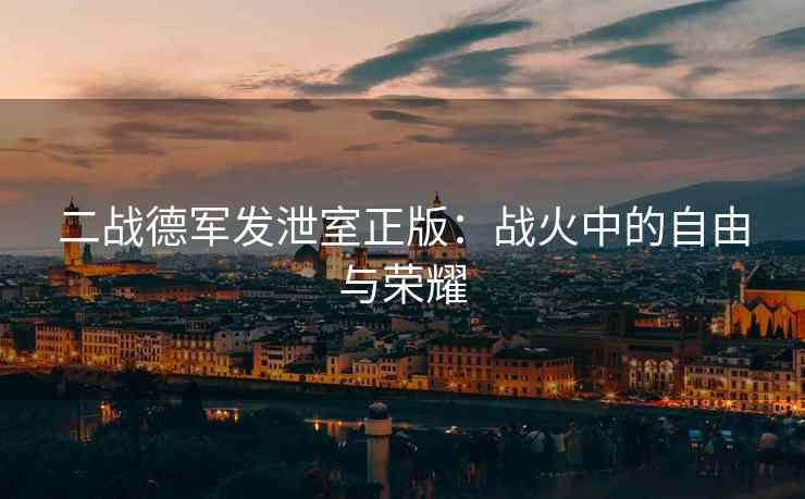 二战德军发泄室正版：战火中的自由与荣耀