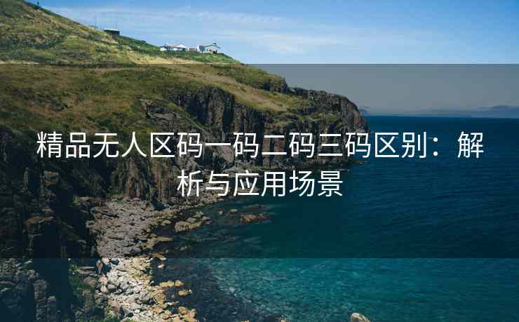 精品无人区码一码二码三码区别：解析与应用场景