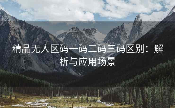 精品无人区码一码二码三码区别：解析与应用场景