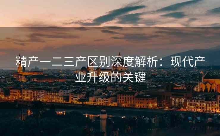 精产一二三产区别深度解析：现代产业升级的关键
