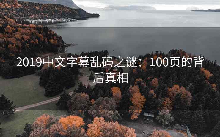 2019中文字幕乱码之谜：100页的背后真相