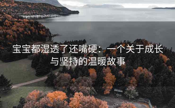 宝宝都湿透了还嘴硬：一个关于成长与坚持的温暖故事