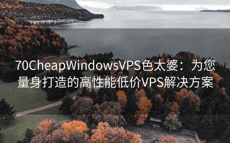 70CheapWindowsVPS色太婆：为您量身打造的高性能低价VPS解决方案